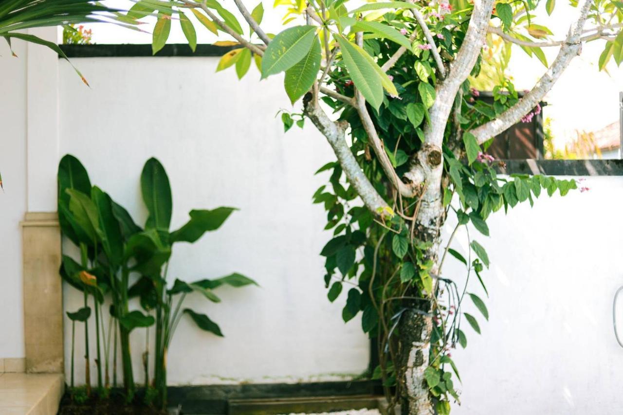 Adi Guest House Canggu  Ngoại thất bức ảnh