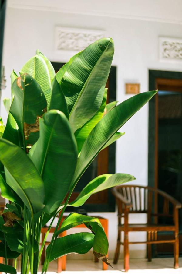 Adi Guest House Canggu  Ngoại thất bức ảnh