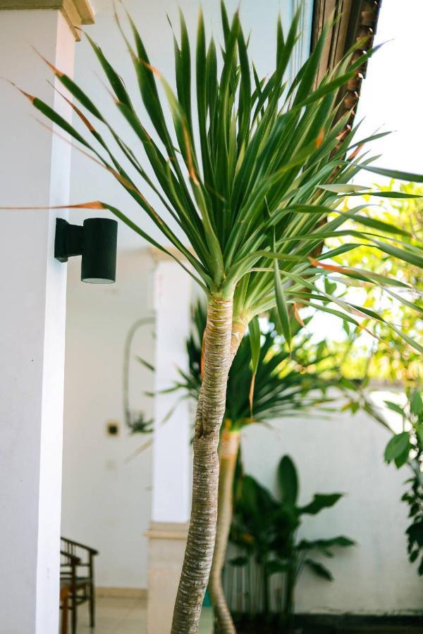 Adi Guest House Canggu  Ngoại thất bức ảnh