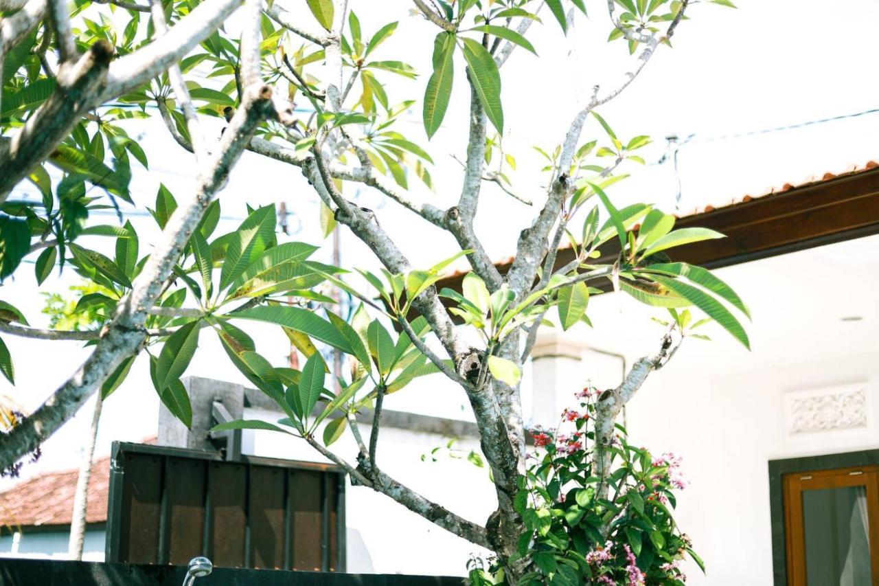Adi Guest House Canggu  Ngoại thất bức ảnh