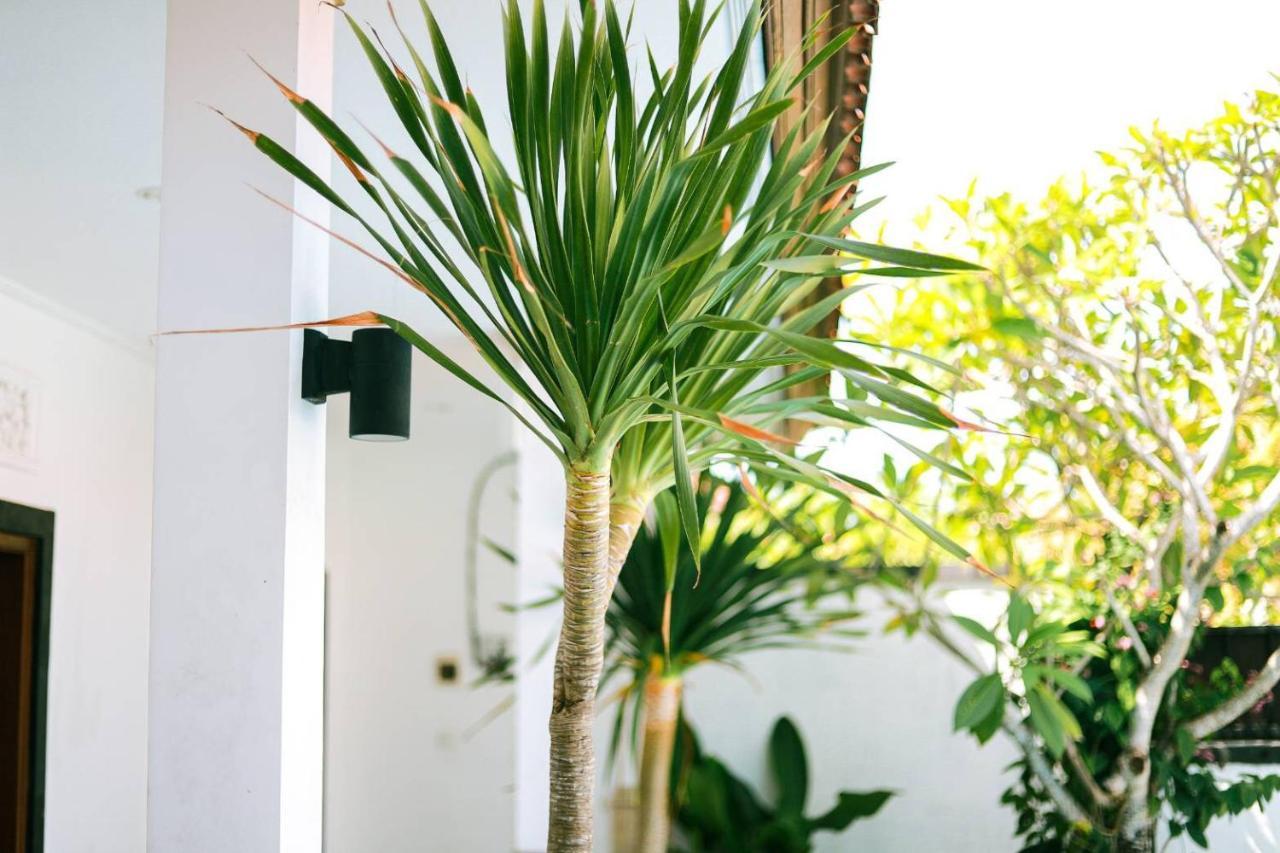Adi Guest House Canggu  Ngoại thất bức ảnh